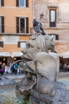 Fontana di piazza della Rotonda